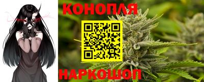 сатива Будённовск