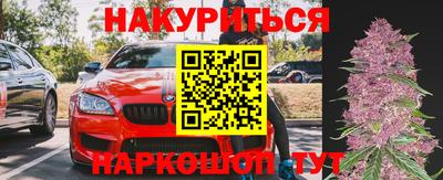 сатива Будённовск