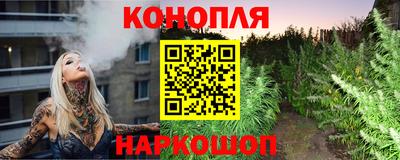 сатива Будённовск