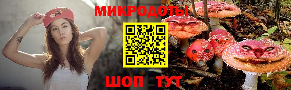 Псилоцибиновые грибы Psilocybine cubensis Черемхово